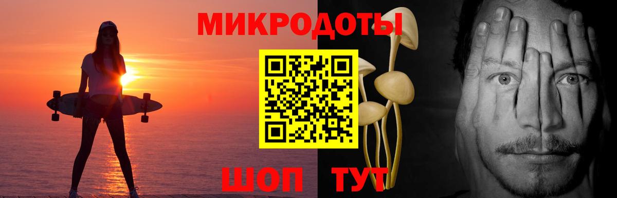 Северобайкальск  Псилоцибиновые грибы GOLDEN TEACHER  наркотики  Вход с VPN 